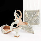 Hot Matching Women Shoe and Bag Set