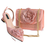 Elegant Lady Shoes And Bag Set