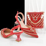 Hot Matching Women Shoe and Bag Set