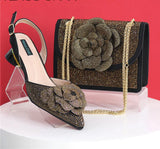 Elegant Lady Shoes And Bag Set