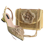 Elegant Lady Shoes And Bag Set