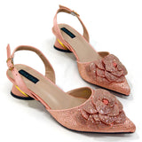 Elegant Lady Shoes And Bag Set