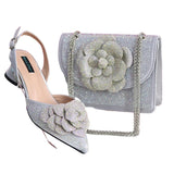 Elegant Lady Shoes And Bag Set